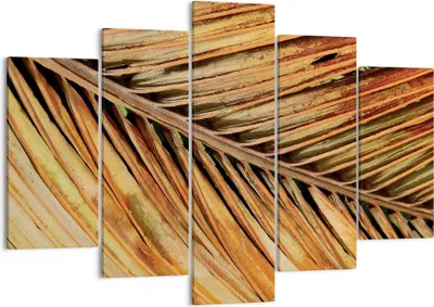 Produktbild von Bild auf Leinwand - Leinwandbild - 5 Teile - Orange Blatt Tropisch - 150x100cm - Wand Bild - Wanddeko - Wandbilder - Leinwanddruck - Bilder - Wanddekoration - Leinwand bilder - EA150x100-4876