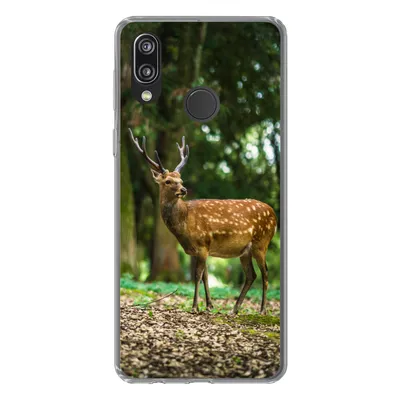 Produktbild von MuchoWow® Handyhülle Schutzhülle Hülle für Huawei P20 Lite (2020) Rotwild - Wald - Tier Silikon Softcase Handy Hülle - Kartenhalter