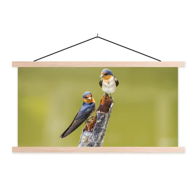 Produktbild von MuchoWow® Textilposter Vögel - Zweig - Porträt 120x60 cm mit holzfarbenen Rahmen - Klemmleiste