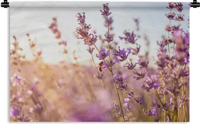Produktbild von MuchoWow® Wandteppich Wandbehang Lavendel - Nahaufnahme - Sonne - Blumen - Lila 60x40 cm Tapisserie Dekoration Wandtuch - Wanddekorationen