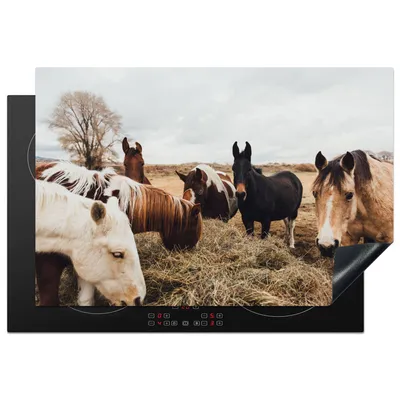 Produktbild von KitchenYeah© Herdabdeckplatte Tiere - Pferd , 76x51cm, Küche Deko, Glaskeramikkochfeld Herdabdeckung, Abdeckplatte fùr Kochfeld