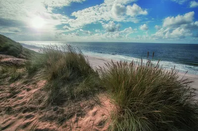 Produktbild von Leinwandbild - Motiv: Strand Sylt - 78 x 118cm