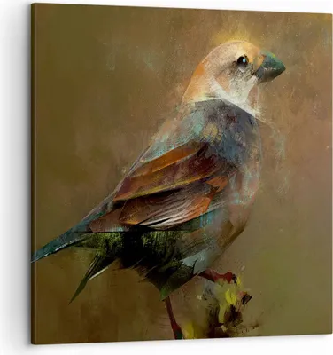 Produktbild von Bild auf Leinwand - Leinwandbild - Vogel Natur - 50x50cm - Wand Bild - Wanddeko - Wandbilder - Leinwanddruck - Bilder - Kunstdruck - Wanddekoration - Leinwand bilder - Wandkunst - AC50x50-3924