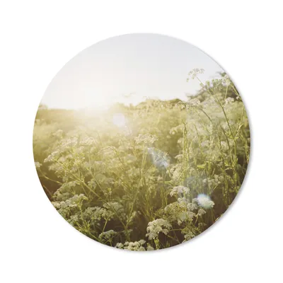 Produktbild von MuchoWow® Mauspad Mousepad Blumen - Weiß - Frühling 20x20 cm - Mousepads - Maus Mat - Pad - Mausunterlage - Schreibtischmatte