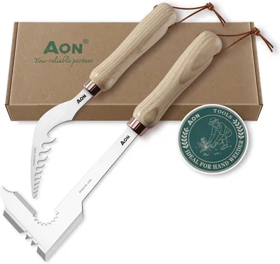 Image de Lot de 2 : Grattoir à joints et outil pour enlever les racines, idéal pour le jardin et la terrasse