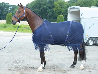 Produktbild von Transport-Fliegendecke FRANSEN, Farbe:Navy, Größe:125