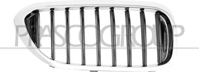 Produktbild von PRASCO BM0522023 Kühlergrill Frontgrill für BMW 5 Touring (G31) Rechts Chrom Schwarz