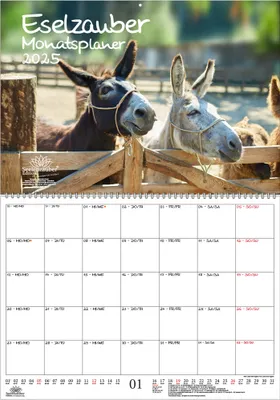 Produktbild von Eselzauber Planer DIN A2 Kalender für 2025 Esel - Seelenzauber