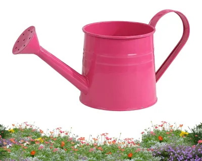 Produktbild von 1-Liter-Gießkanne für Zimmerpflanzen mit modernem Design