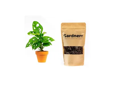 Obrázok produktu pre Gardners Set Monstera adansonii Monkey Mask a substrát, S