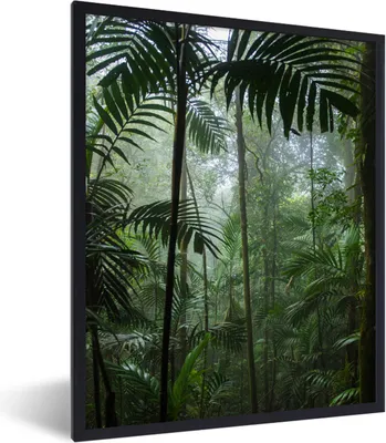 Produktbild von MuchoWow® Gerahmtes Poster Regenwald - Tropisch - Dschungel - Bäume - Pflanzen 60x80 cm - Poster mit Schwarzem Bilderrahmen Wandposter Rahmen Foto Bilder - Premium - Wanddeko Wohnzimmer