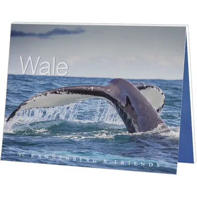 Produktbild von Postkartenbuch Wale Postkartenbücher Ansichtskarte Postkarte, Wal