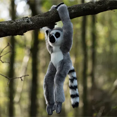 Obrázek produktu pro Plyšový lemur na suchý zip