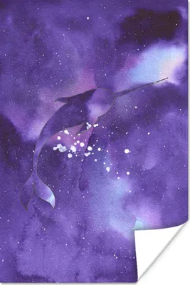 Produktbild von MuchoWow® Poster Narwal - Weltraum - Farben 80x120 cm - Papierdruck