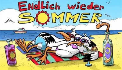 Immagine prodotto di Bandiera ENDLICH WIEDER SOMMER 90 x 150 cm con 2 occhielli in ottone