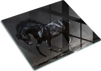 Imagen del producto de Cubierta para placa de cocina – Cubierta para placa de inducción – Placa de vidrio protectora – 60x52 cm – Placas de vidrio protectoras para cocina – Vidrio templado – Caballo