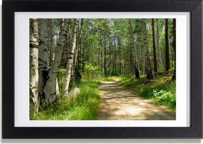 Produktbild von Bild 30x20 MDF-Rahmen, Wandkunst Der Weg in den Wald