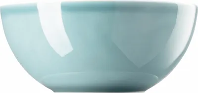 Obrázok produktu pre Miska Thomas 21 cm Daily Ice Blue