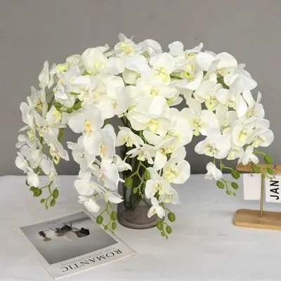 Produktbild von Orchideen, 6 Stück, 70 cm - Künstliche Phalaenopsis - Realistische Blumen – Biegsamer Stiel – Dekoration für Zuhause/Hochzeit – Künstliche Orchideen