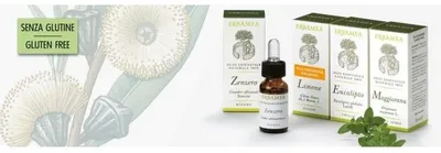 Immagine prodotto di Zenzero 10 Ml
