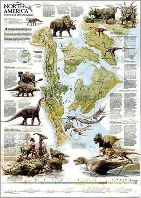 Produktbild von National Geographic Dinosaurs of North America Wall Map (22.25 X 30.5 In)