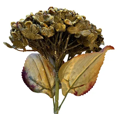 Immagine prodotto di Fiore artificiale Clayre & Eef 15x15x47 cm plastica verde