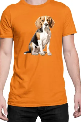 Immagine prodotto di Maglietta da uomo Dogs Breeds Beagle Dog Breed 008, Man L , Orange