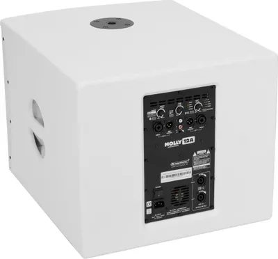 Immagine prodotto di Omnitronic 11039051 Subwoofer Weiß Aktiver Subwoofer 500 W (11039051)