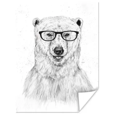 Produktbild von MuchoWow® Poster Eisbär - Brille - Weiß - Tiere 90x120 cm - Wohnzimmer