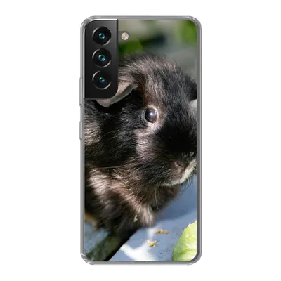 Produktbild von MuchoWow® Handyhülle Schutzhülle Hülle für Samsung Galaxy S22 Meerschweinchen im Garten Silikon Softcase Handy Hülle - Mobiltelefonhülle