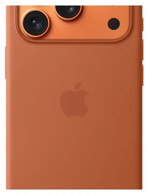 Immagine prodotto di Apple MGFJ4ZM/A custodia per cellulare 16 cm (6.3") Cover Terracotta