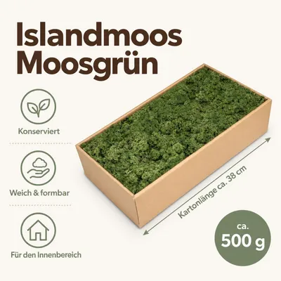 Produktbild von Islandmoos 500g in 30 Farben – Konserviertes Rentiermoos Natur, Farbe:Moosgrün