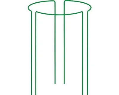Produktbild von Staudenhalter Pflanzenstütze 3-teilige Grün 75 cm