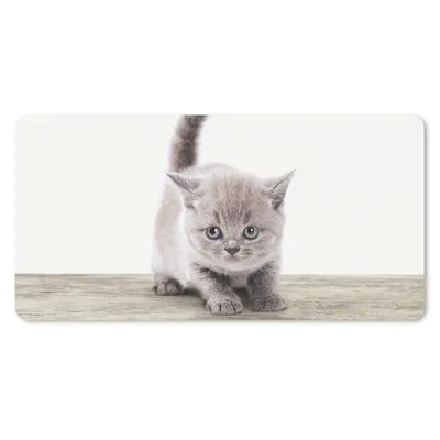 Produktbild von MuchoWow® Mauspad Mousepad Kätzchen - Katze - Haustiere - Jungen - Kinder - Mädchen 60x30 cm - Mousepads - Maus Mat - Pad - Mausunterlage - Nachhaltig