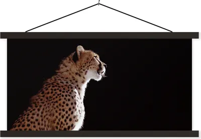 Produktbild von MuchoWow® Textilposter Gepard - Tiere - Licht 150x75 cm mit schwarzem Rahmen - Posterleiste