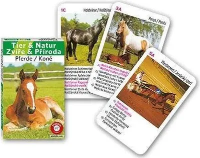 Produktbild von Piatnik 4211 - Quartett Tier und Natur - Pferde