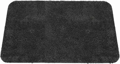 Image de Paillasson Waterstop 40x60cm anthracite Tapis de propreté