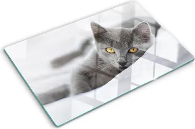 Imagen del producto de Cubierta para placa de cocina – Cubierta para placa de inducción – Placa de vidrio protectora – 80x52 cm – Placas de vidrio protectoras para cocina – Vidrio templado – Gato gris