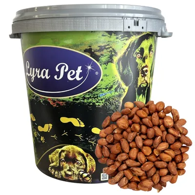 Produktbild von 10 kg Lyra Pet® Erdnusskerne mit Haut HK Argentinienin 30 L Tonne