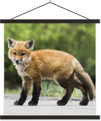 Produktbild von MuchoWow® Textilposter Fuchs - Welpe - Straße 120x120 cm mit schwarzem Rahmen - Aufhängungsset