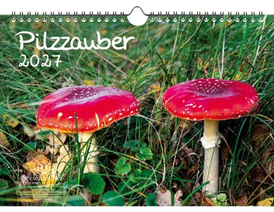 Produktbild von Pilzzauber DIN A4 Kalender für 2027 Pilz Wald - Seelenzauber