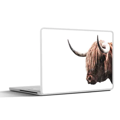 Produktbild von MuchoWow® Laptop Aufkleber Sticker Cover Schottische Highlander - Kühe - Hoorn 36.5x27.5 cm - Laptop-Sticker