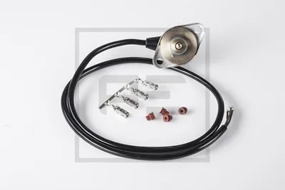 Image de Capteur de pression de carburant PETERS 080.123-00