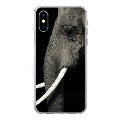 Produktbild von MuchoWow® Handyhülle Schutzhülle Hülle für iPhone X Elefant - Tier - Stoßzahn Silikon Softcase Handy Hülle - Handyhülle