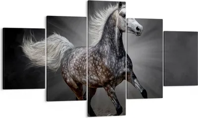Produktbild von Bild auf Leinwand - Leinwandbild - Pferd Tier Natur - 125x70cm - Wand Bild - Wanddeko - Wandbilder - Leinwanddruck - Bilder - Kunstdruck - Wanddekoration - Leinwand bilder - Wandkunst - EA125x70-3593
