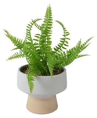 Produktbild von Decoris Kunstpflanze Farn h24cm