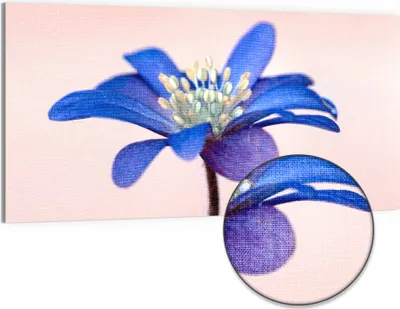 Produktbild von DEQORI Hybrid Leinwand Bild 100x50 cm 'Blaue Eleganz' Wandbild Glas flach modern
