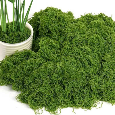 Obrázok produktu pre Kunstmos tmavozelený, 150 g, dekoratívna rastlina do záhrady