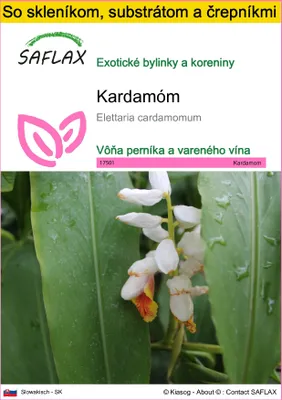 Obrázok produktu pre SAFLAX Kultivačný set - kardamóm - Elettaria cardamomum - 20 Semená - S mini skleníkom, pestovateľským substrátom a 2 črepníkmi