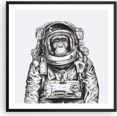 Produktbild von Gerahmtes Poster - Schwarzer Rahmen - Schimpanse Astronaut Zeichnung - 60x60 cm - Wand Bild - Wanddeko - Wandbilder - Wandposter - Bilderrahmen - Bilder - Kunstdruck - Wandbild - P2BAC60x60-4312